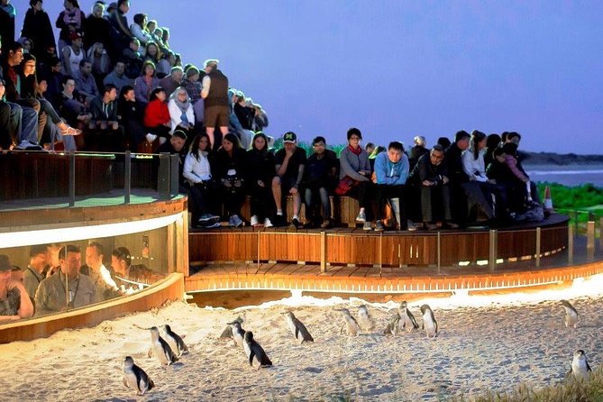 1 Day Exclusively Private Tour Of Phillip Island & The Penguin Parade - Key points before you go