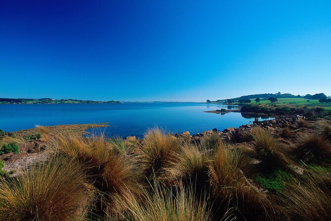 1 Day Exclusively Private Tour Of Phillip Island & The Penguin Parade - The island portion: Churchill Island, Nobbies area, and the beachy viewpoints