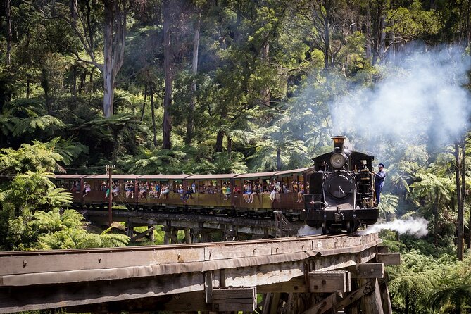 1 day Puffing Billy Steam Train and Wildlife Tour from Melbourne - Grants Picnic Ground in Sherbrooke Forest: Birds Before the Steam