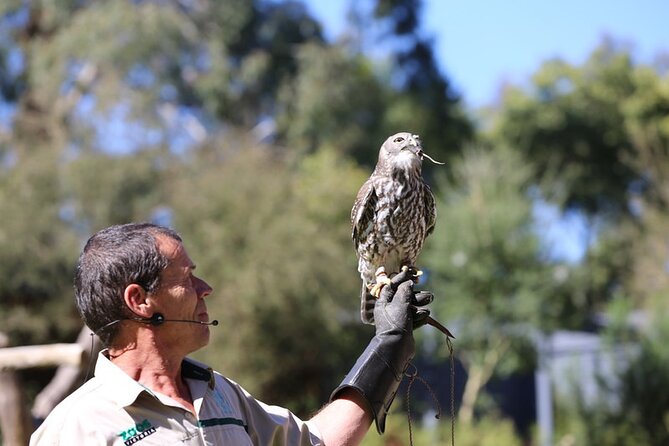 1 day Puffing Billy Steam Train and Wildlife Tour from Melbourne - Lakeside Visitor Centre Break: Facilities Plus Food You Control