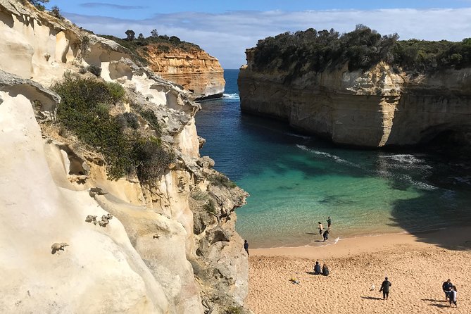 12 Apostles and Shipwreck Coast Express Private Tour - Wildlife spotting: koalas and kangaroos, if the timing lines up