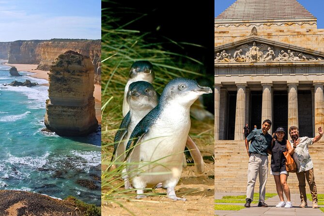 3 Day Combo: Great Ocean Road, Penguin Parade and FREE City Tour - Key things I’d pay attention to