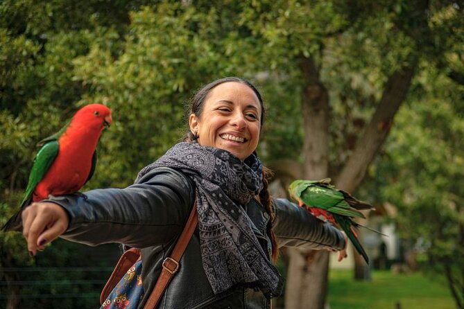 3 Day Combo: Great Ocean Road, Penguin Parade and FREE City Tour - Price and value: why $239.56 can work for three days