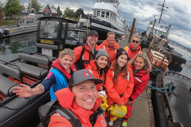 4 Hour Morning Whale Watching Tour - Price and value: what $174.06 includes