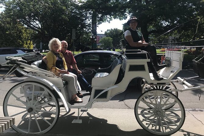 45-Minute By The Park Tour - Why a 45-Minute Horse Carriage Works in Victoria