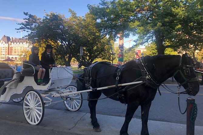 45-Minute By The Park Tour - The Driver Experience: When You Can Tour or Just Chat