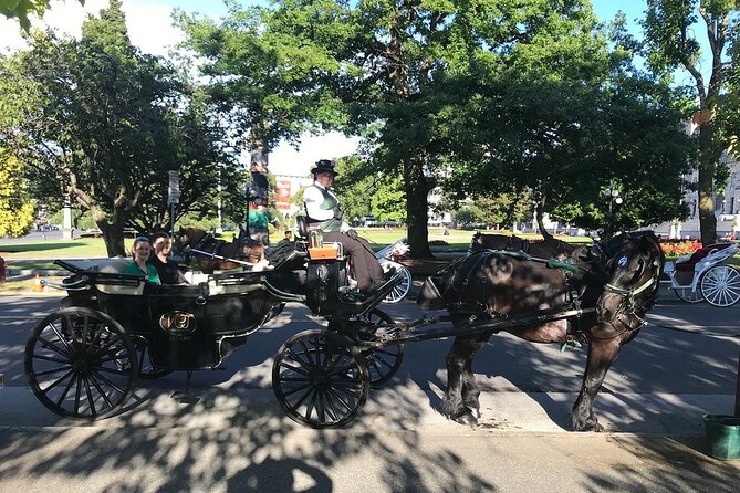 45-Minute By The Park Tour - Price and Value for a Private 45-Minute Ride (Up to 6)