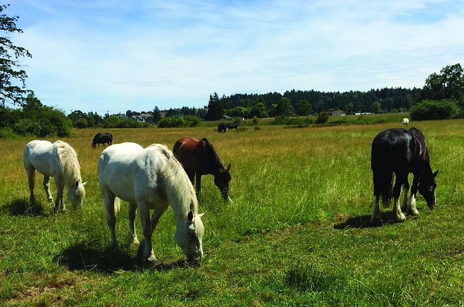 45-Minute By The Park Tour - Comfort Tips for a Smooth Ride (and Who It’s Not For)