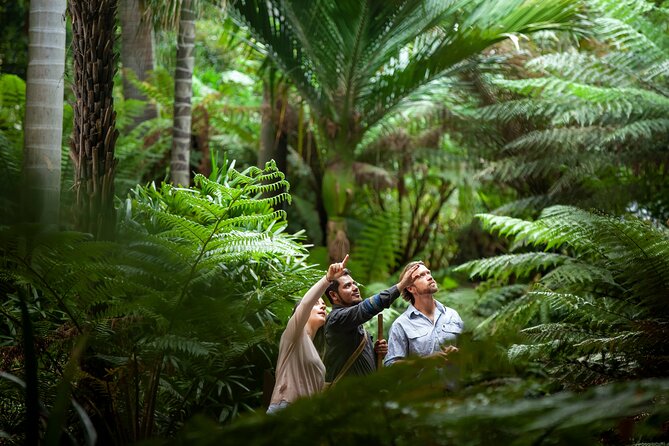 Aboriginal Heritage Walk - Royal Botanic Gardens Victoria, Melbourne Gardens - Key highlights at a glance