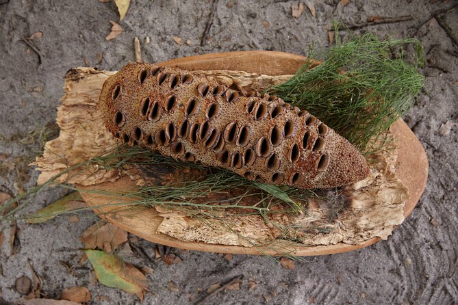 Aboriginal Heritage Walk - Royal Botanic Gardens Victoria, Melbourne Gardens - Who should book this Aboriginal Heritage Walk?