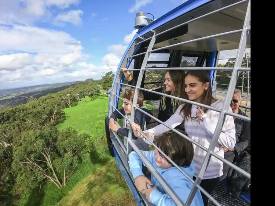 Arthurs Seat Eagle: Scenic Gondola Ride - Key highlights you’ll actually care about