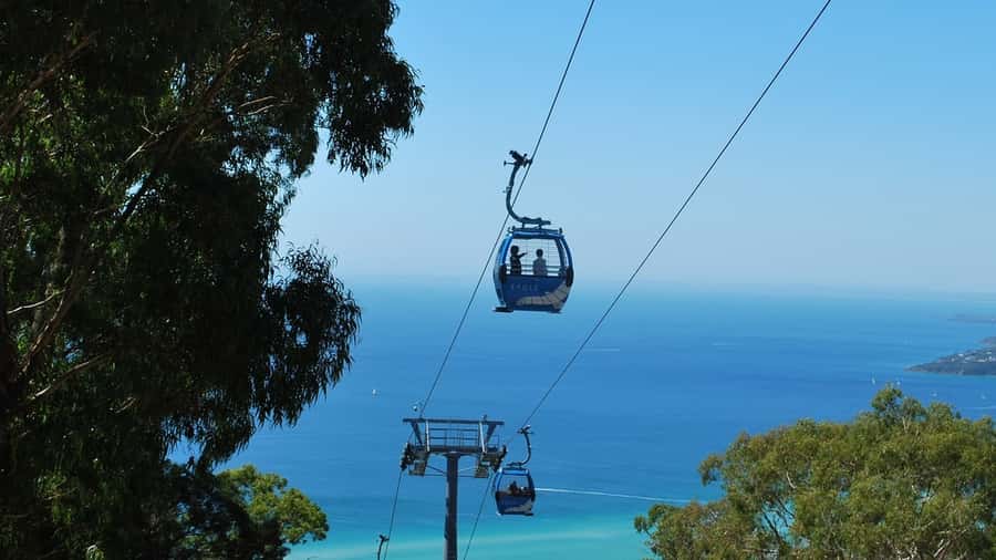 Arthurs Seat Eagle: Scenic Gondola Ride - A quick Melbourne break with big-sky payoffs