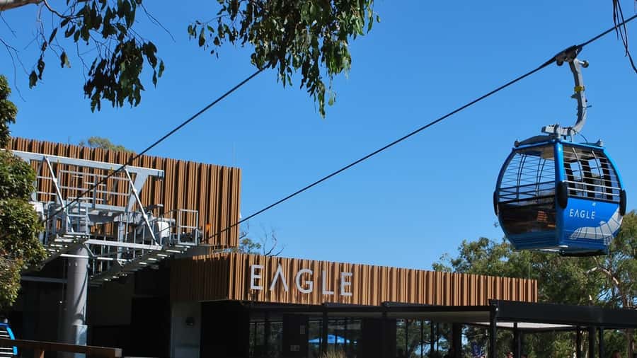 Arthurs Seat Eagle: Scenic Gondola Ride - The gondola ride above Arthurs Seat State Park