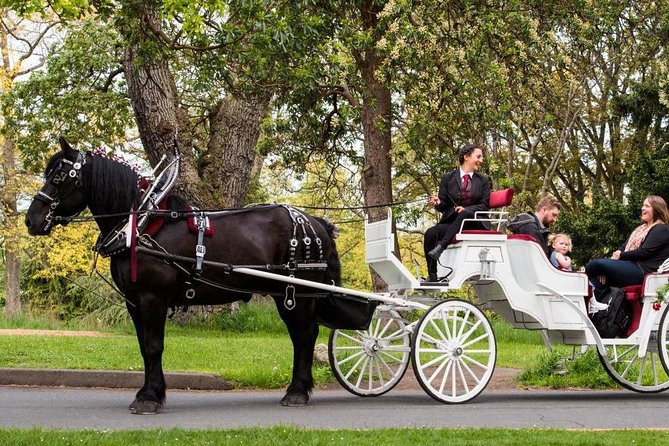 Beacon Hill Park Horse-Drawn Carriage Experience in Victoria - Start at Belleville Street and Settle Into a Private Carriage