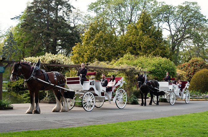 Beacon Hill Park Horse-Drawn Carriage Experience in Victoria - Who This Horse-Drawn Tour Fits Best in Victoria