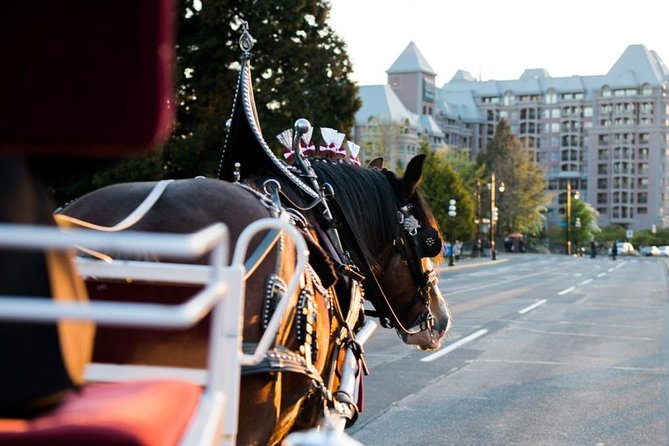 Beacon Hill Park Horse-Drawn Carriage Experience in Victoria - Should You Book This Horse-Drawn Ride in Victoria?
