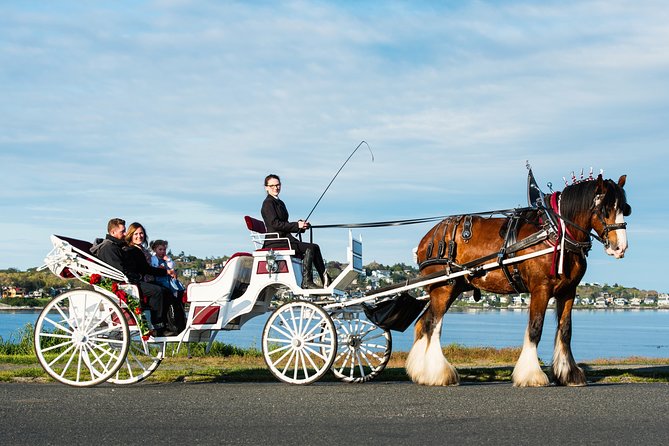 Beacon Hill Park Horse-Drawn Carriage Experience in Victoria - Salish Sea Waterfront Views and Mile Zero on the Trans-Canada Highway