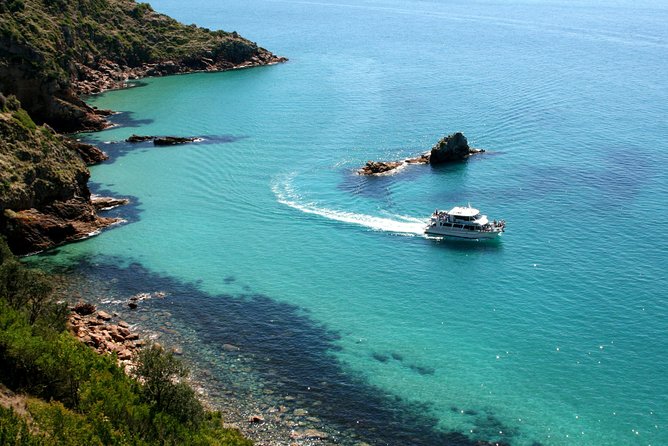 Cape Woolamai Sightseeing Cruise from San Remo - The 1-hour pace: ideal for kids, and forgiving for adults