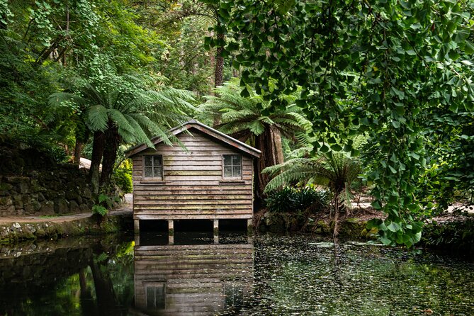 Dandenong Ranges Private Day Tour - Private pickup and an unhurried rhythm that actually feels relaxing