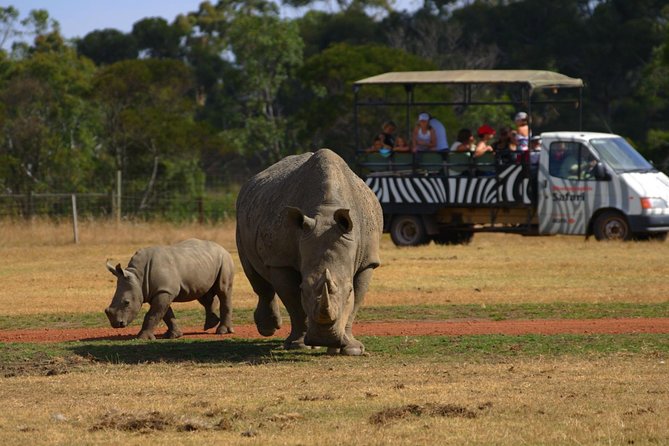 Deluxe Safari Adventure at Werribee Open Range Zoo - excl. entry - Entering Werribee’s Open-Range World (Not Cages)