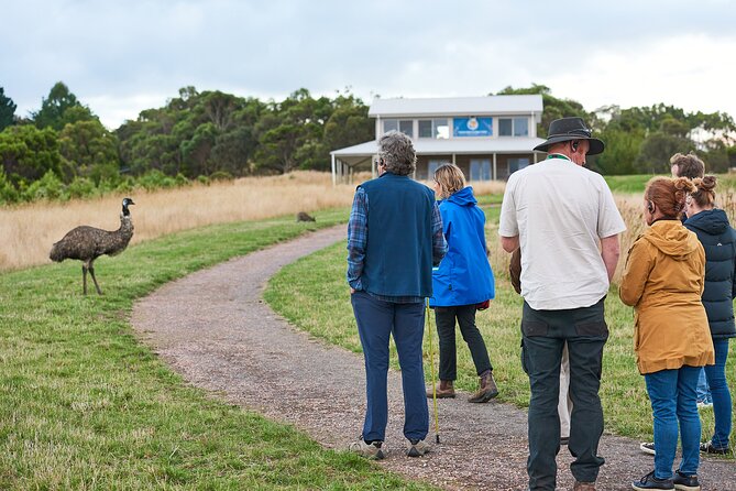 Dusk Discovery Tour - Key Things to Know Before You Go