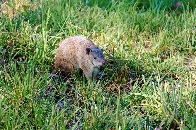 Dusk Discovery Tour - Food, Drinks, and Conservation: The Value Equation