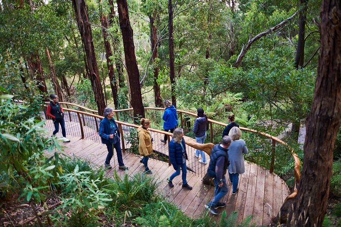 Dusk Discovery Tour - The 1.4km Wildlife Walk: What You’re Likely to See