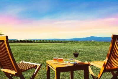 Epic Yarra Valley Wine Tour + Lunch, Chocolate & Gin/Beer Option - Yering Station: Why the Morning Stop Sets the Tone