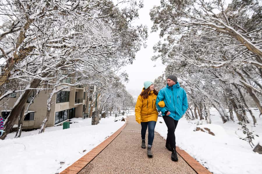 From Melbourne: Day Trip to Mt Buller by Premium Tour Coach - Return to Melbourne: Timing, Stops, and Why the Trip Feels Longer Going Down