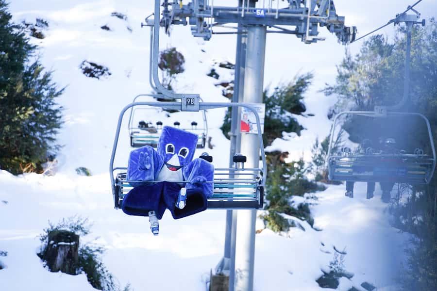 From Melbourne: Day Trip to Mt Buller by Premium Tour Coach - Meeting at Southern Cross Coach Terminal (Bay 58) Without Stress