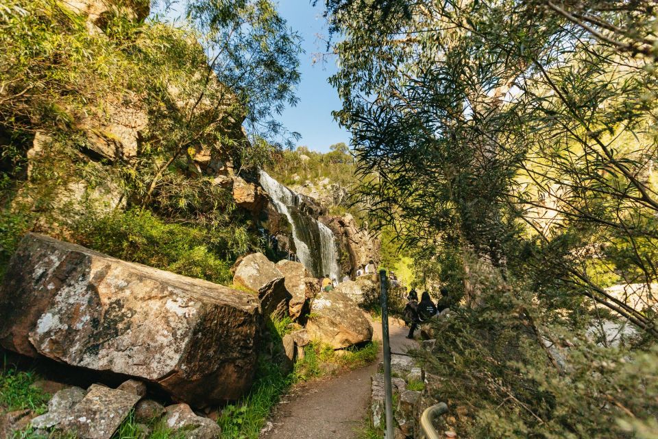 From Melbourne: Grampians National Park Group Tour - Comfort on the road: modern minibus, onboard Wi-Fi, and guide energy
