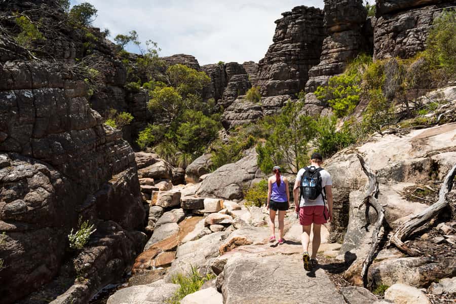 From Melbourne: Grampians National Park & Kangaroos - Key points to know before you go