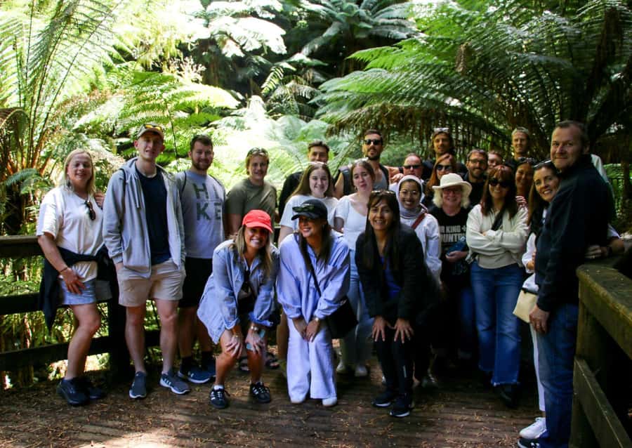 From Melbourne: Great Ocean Road & 12 Apostles Full-Day Tour - 12 Apostles: the headline limestone moment (and how to use your time)