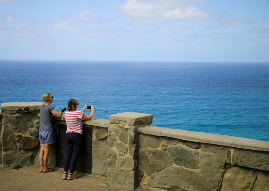 From Melbourne: Great Ocean Road & 12 Apostles Full-Day Tour - Loch Ard Gorge: cliffs, shipwreck lessons, and possible dolphins