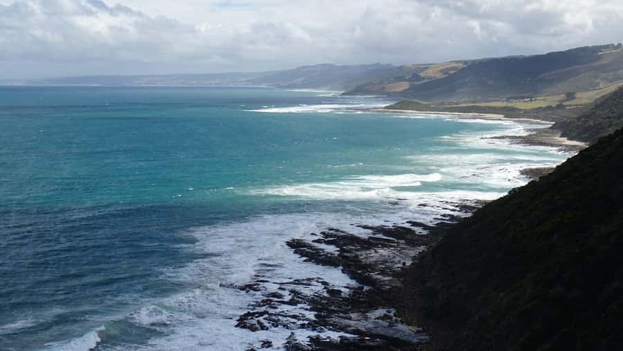 From Melbourne: Great Ocean Road, 12 Apostles, Wildlife Tour - Guided forest walk: the tall-tree break you’ll feel in your lungs