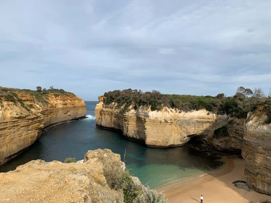 From Melbourne: Great Ocean Road Day Tour - Forest walk + rainforest stop: why the short walks matter