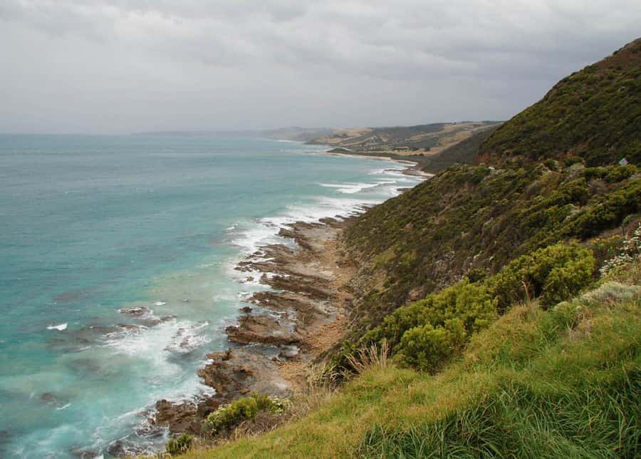 From Melbourne: Great Ocean Road Day Tour - Group size, guide style, and what you’ll feel on the ride