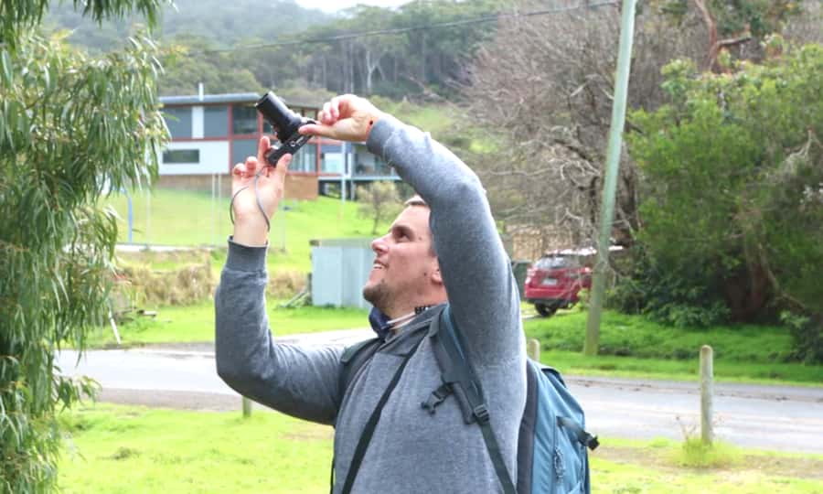 From Melbourne: Great Ocean Road Full-Day Sunset Tour - Why the Sunset Version Feels Smarter Than a Morning One