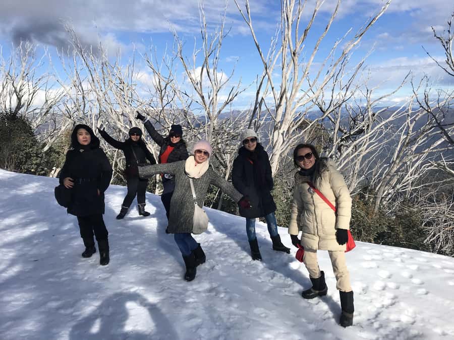 From Melbourne: Mt Buller Snow Day Small Group Boutique Tour - Mt Buller Snow Day, done the way you want it