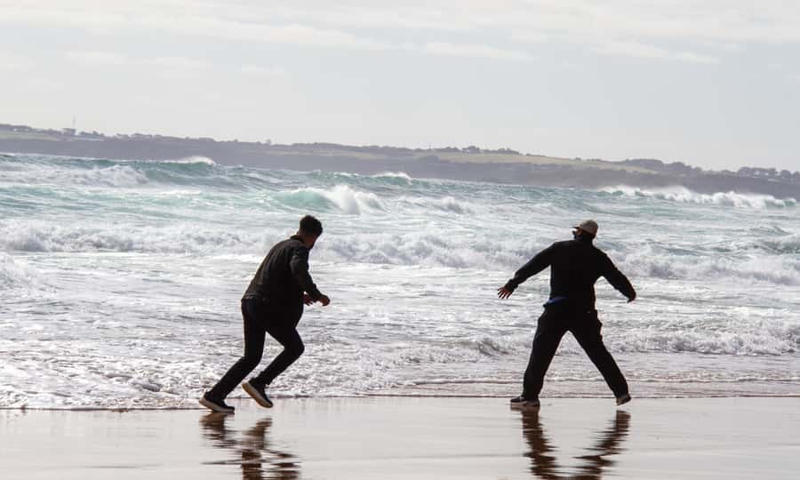 From Melbourne: Penguin Parade Afternoon Tour - Should You Book It or Choose a Different Plan?