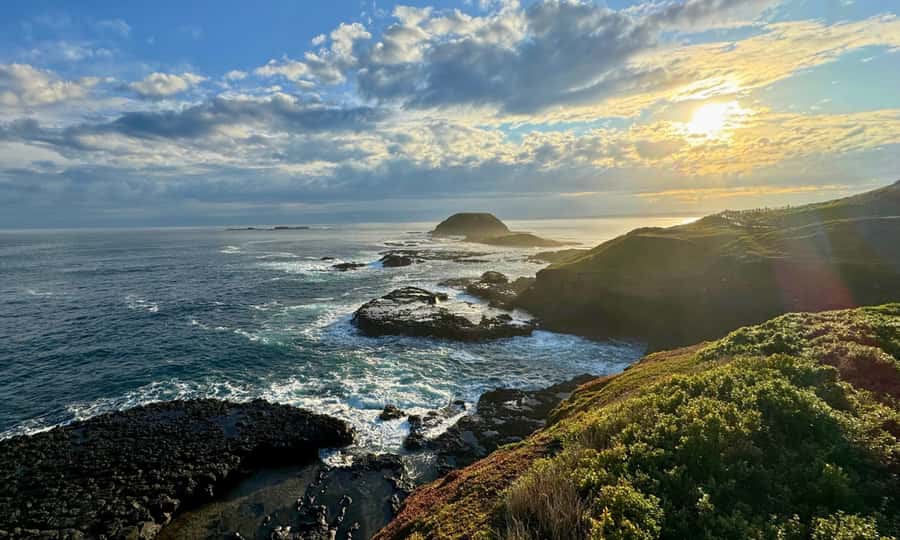 From Melbourne: Penguin Parade Afternoon Tour - Cape Woolamai in Summer: Dramatic Cliffs If Your Dates Match
