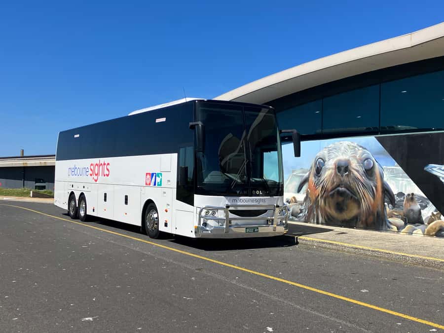 From Melbourne: Phillip Is Penguin Parade & Koala Reserve - Price and value: what $107 buys you on an 11-hour schedule