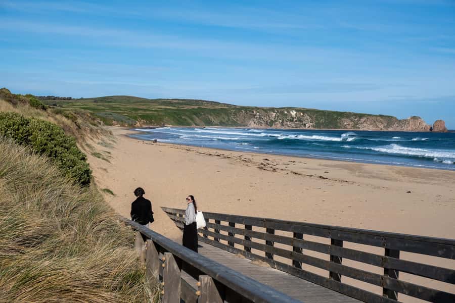 From Melbourne: Phillip Island and Penguin Parade Day Tour - Price and Value: Is $102 Good for This Much Wildlife Time?