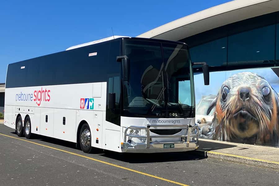 From Melbourne: Phillip Island Penguin Parade Express Tour - Return to Melbourne: the late-night reality