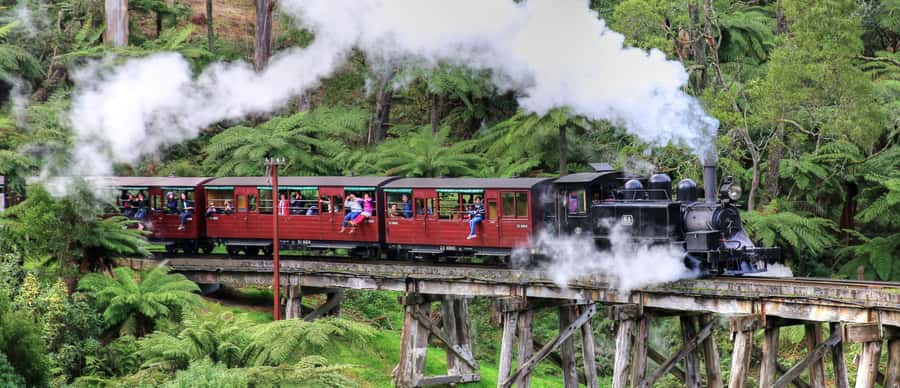 From Melbourne: Puffing Billy and Penguin Parade Combo Tour - Puffing Billy steam train: the part that feels like a time machine