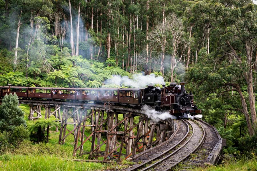 From Melbourne: Puffing Billy Train & Penguin Wildlife Tour - The Nobbies viewpoint stop: fast photos, big views, and a blowhole moment