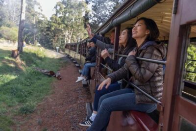 From Melbourne: Puffing Billy Train & Penguin Wildlife Tour - Puffing Billy at Belgrave to Lakeside: what makes it fun (and what can annoy you)