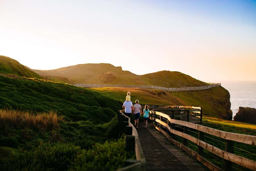 From Melbourne: Puffing Billy Train & Penguin Wildlife Tour - Price and logistics: does $145 feel fair for a full 12-hour day?