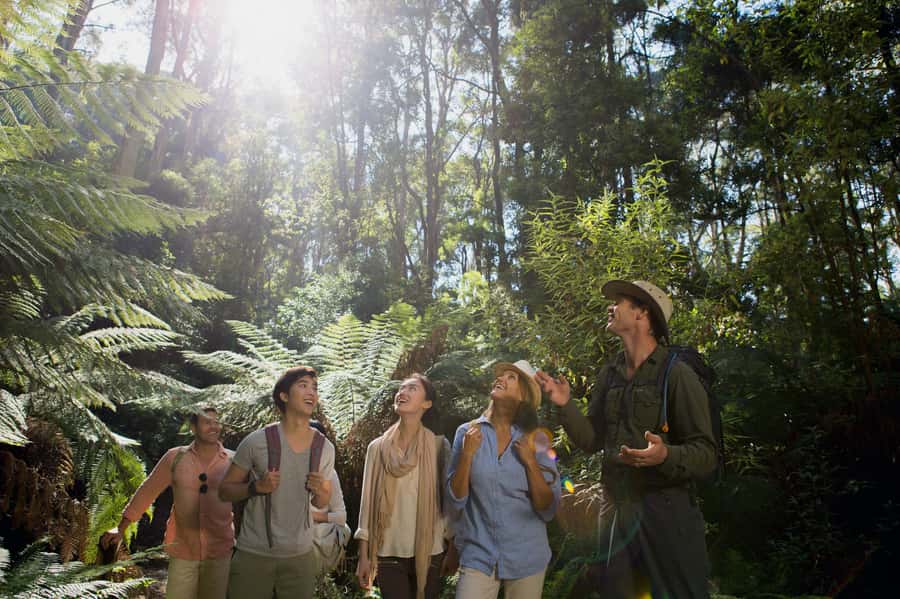 From Melbourne: Reverse Great Ocean Road Day Trip with Lunch - A picnic lunch with the Southern Ocean as your backdrop