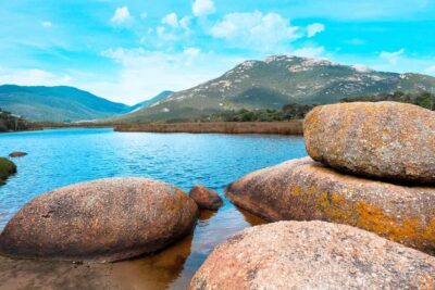 From Melbourne: Wilsons Promontory Small Group Day Tour - The first hike: The Big Drift dune country (and why it’s more than scenery)